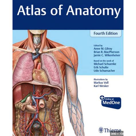 thieme atlas of anatomy 4th edition pdf